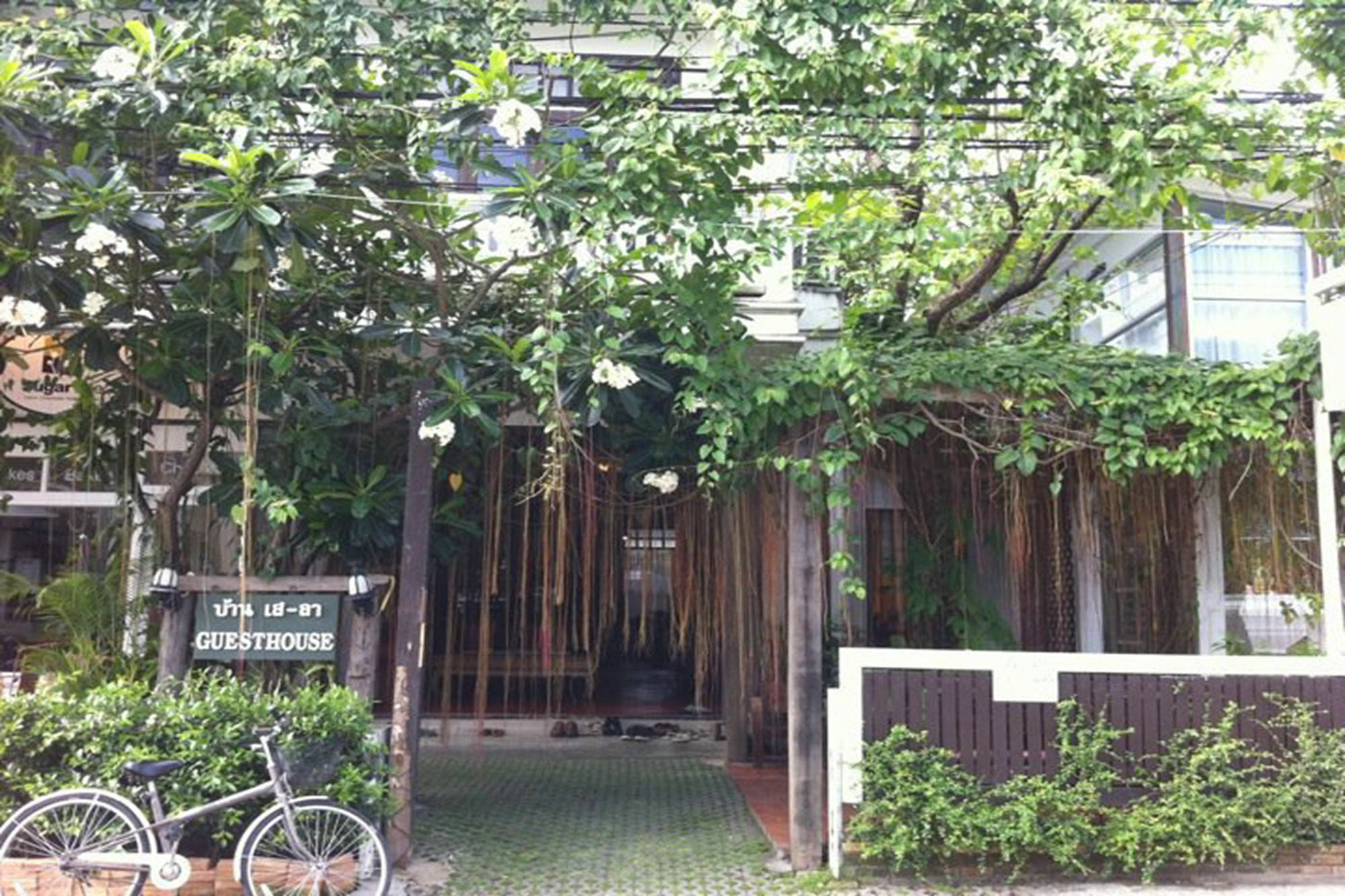 Baan Say-La Guest House Τσιάνγκ Μάι Εξωτερικό φωτογραφία